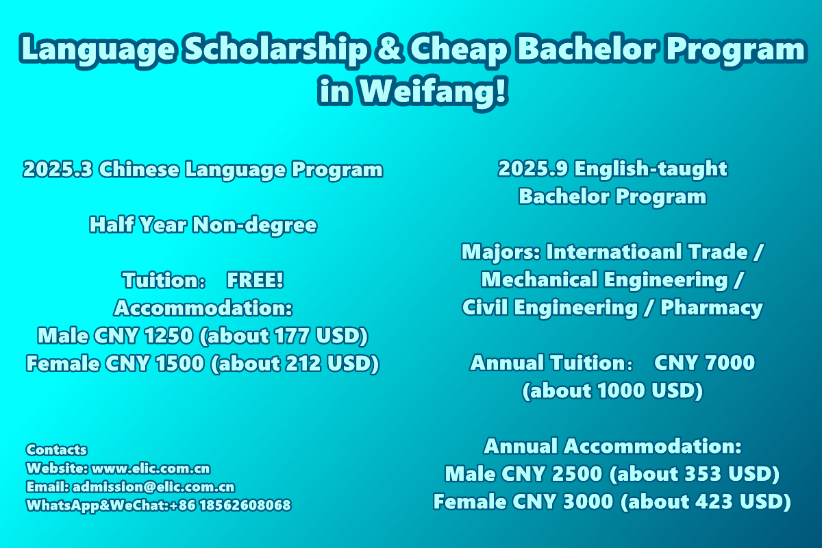 2025 Language Scholarship & Cheap Bachelor Program